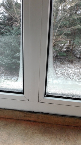 Fenster 1 - (Winter, Fenster, Feuchtigkeit)