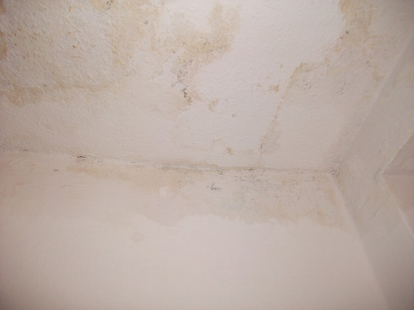 Bad - (Wohnung, Vermieter, Schimmel)