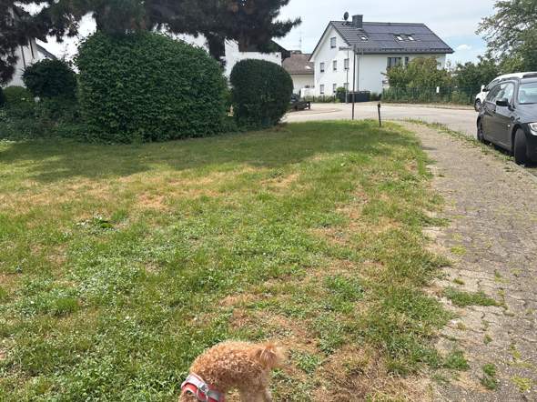 Bild zum Beitrag