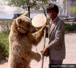 In der Türkei haben Sinti oder Roma früher Bären tanzen lassen. Gab das in D auch?