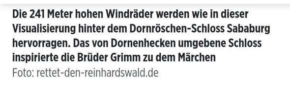 Bild zum Beitrag
