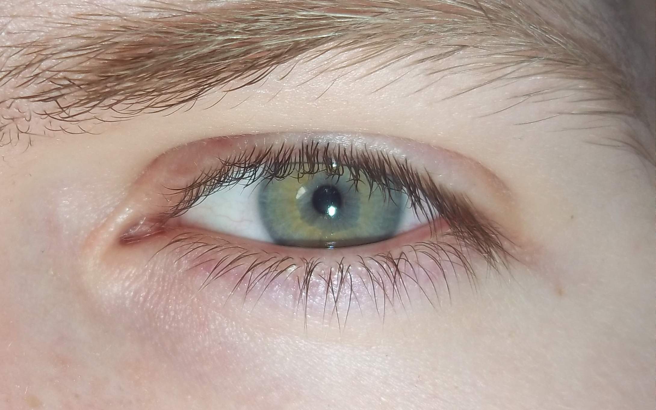 Augenfarbe blau grüne Welche Aufenfarbe
