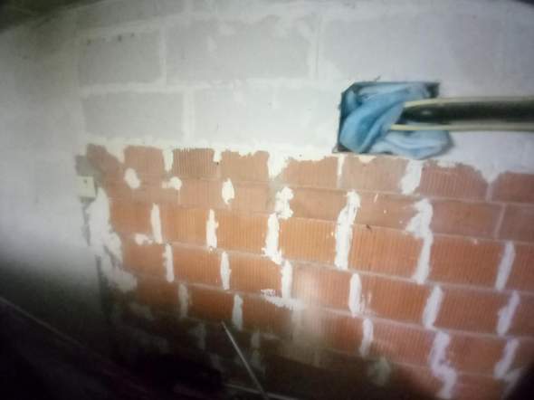 - (Gesundheit, Wohnung, Farbe)
