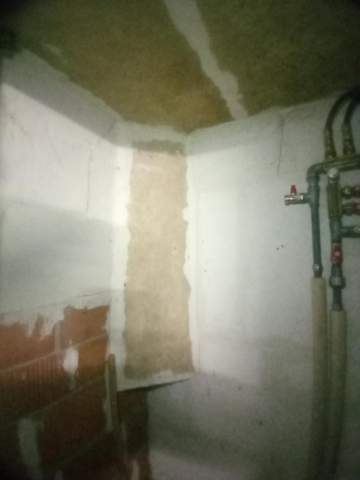 - (Gesundheit, Wohnung, Farbe)