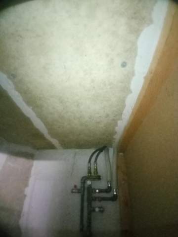 - (Gesundheit, Wohnung, Farbe)