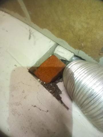 - (Gesundheit, Wohnung, Farbe)