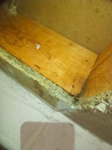 - (Gesundheit, Wohnung, Farbe)