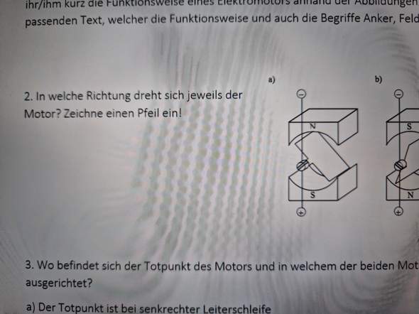 Bild zum Beitrag