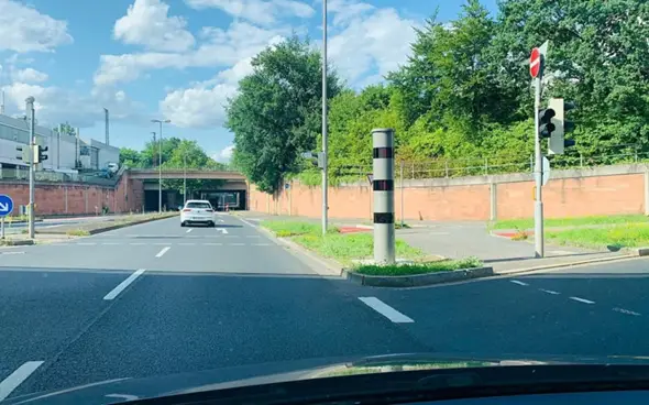 Bild zum Beitrag