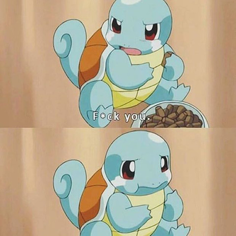 Schiggi - (Internet, Pokemon, pokemongo)