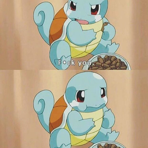 Schiggi - (Internet, Pokemon, pokemongo)