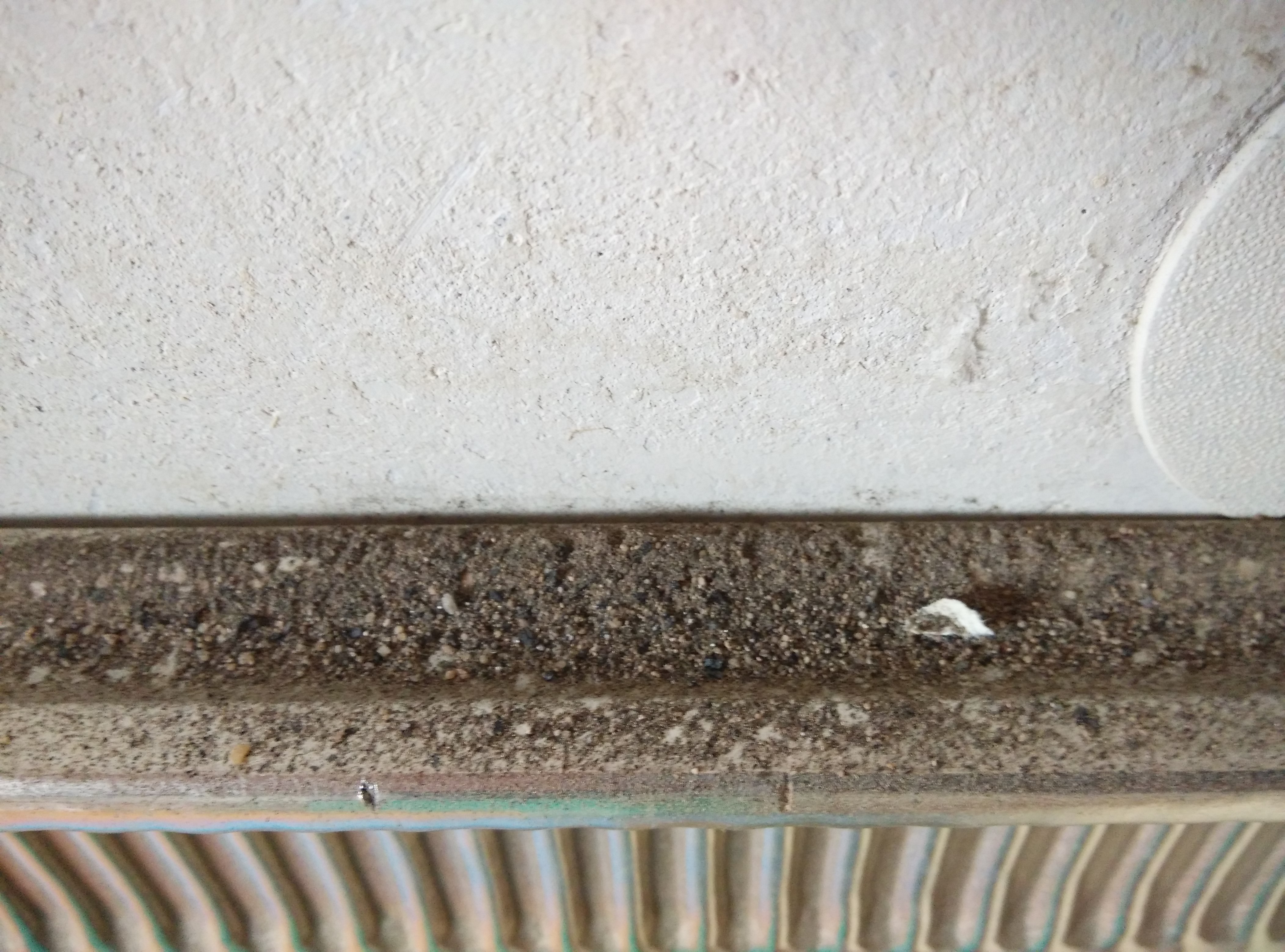 In Wohnung Rieselt Feiner Putz Von Der Decke Siehe Angehangte Bilder