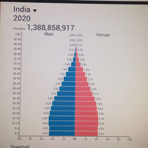 Bevölkerungspyramide Indien 2020 - (Schule, Geografie, Test)