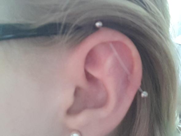 Industrial Piercing Entzundet Oder Wildfleisch Pflege Entzundung