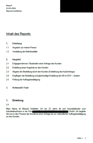 Report Industriekaufmann Muster
