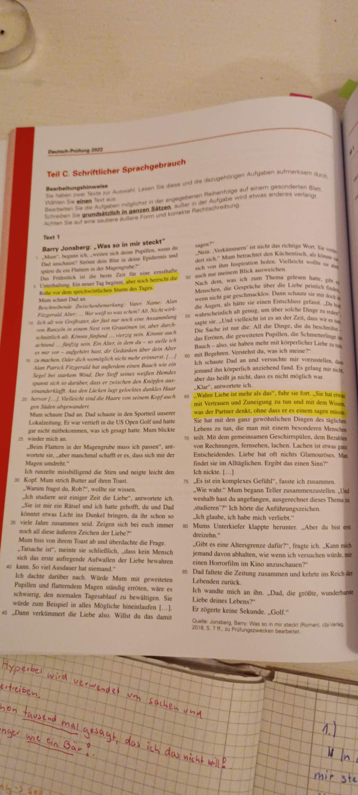 Inhaltsangabe Romanauszug? (Kurzgeschichte)