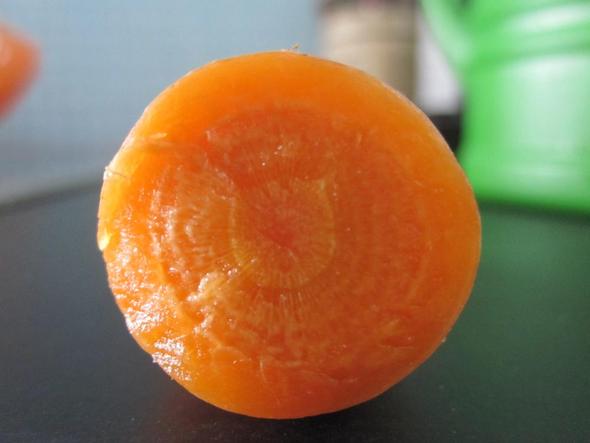 Querschnitt Möhre - (Biologie, Karotten, Kohlrabi)