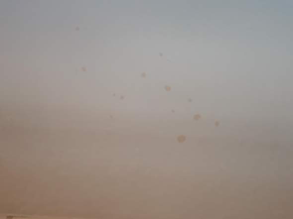 Innerhalb von Stunden Flecken an Tapete. Was kann das sein? (Schimmel)