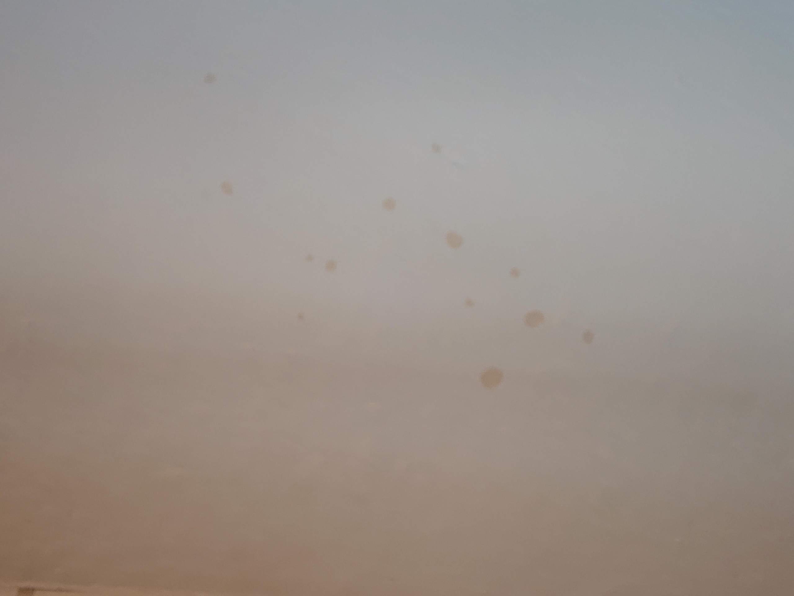 Innerhalb von Stunden Flecken an Tapete. Was kann das sein? (Schimmel)