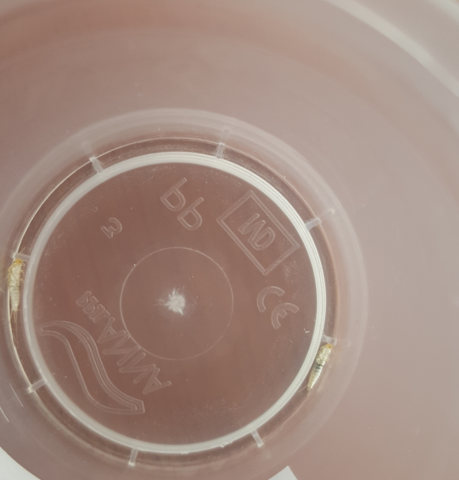 Insekt2 - (Insekten, Insektenbestimmung)