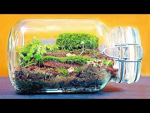 Insekten in Terrarium vermehren? (Natur, Haltung)