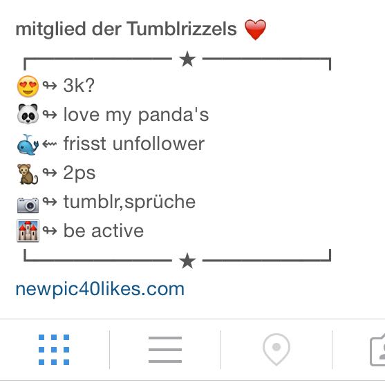 Instagram Biografie Hilfe