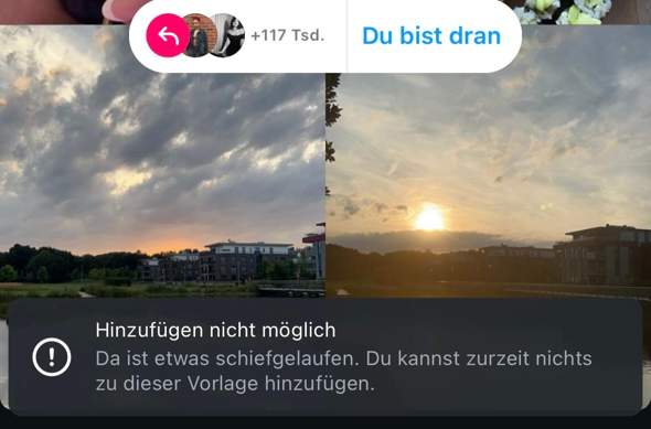 Bild zum Beitrag
