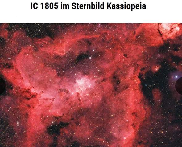 Bild zum Beitrag
