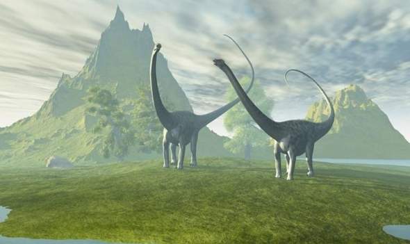 - (Tiere, Evolution, Dinosaurier)