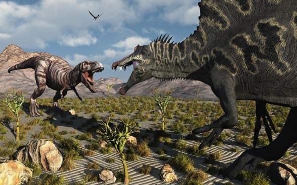 - (Tiere, Evolution, Dinosaurier)