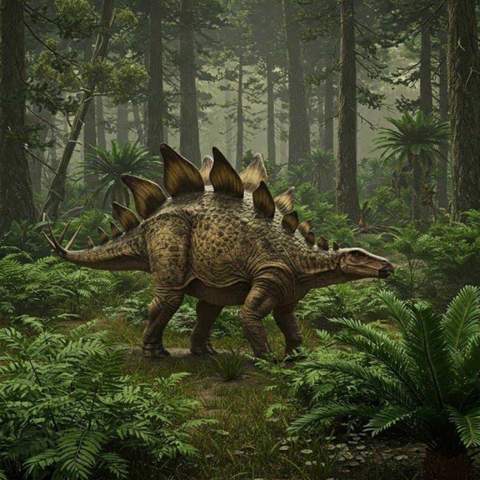 - (Tiere, Evolution, Dinosaurier)