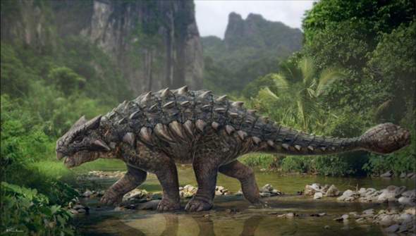 - (Tiere, Evolution, Dinosaurier)