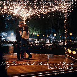 Flightless Bird, American Mouth - Iron and Wine - Twilight - (Liebe, Musik, Twilight)