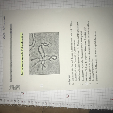 Hausaufgabe - (Schule, Biologie)