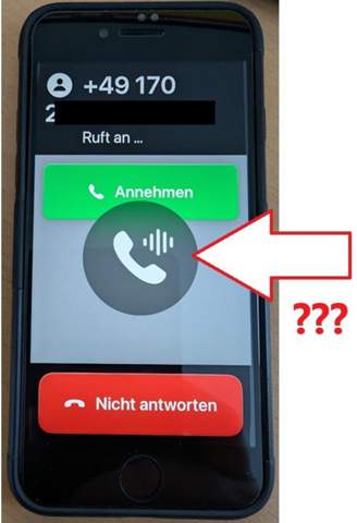 Bild zum Beitrag