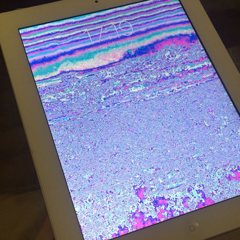 Ipad kaputt, sieht so aus - (Apple, iPad, Display)