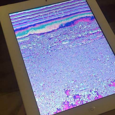 Ipad Display Ist Kaputt Was Tun Apple
