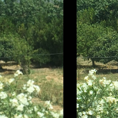 Iphone 6s Beim Betrachten Geschossener Bilder Werden Die Bilder