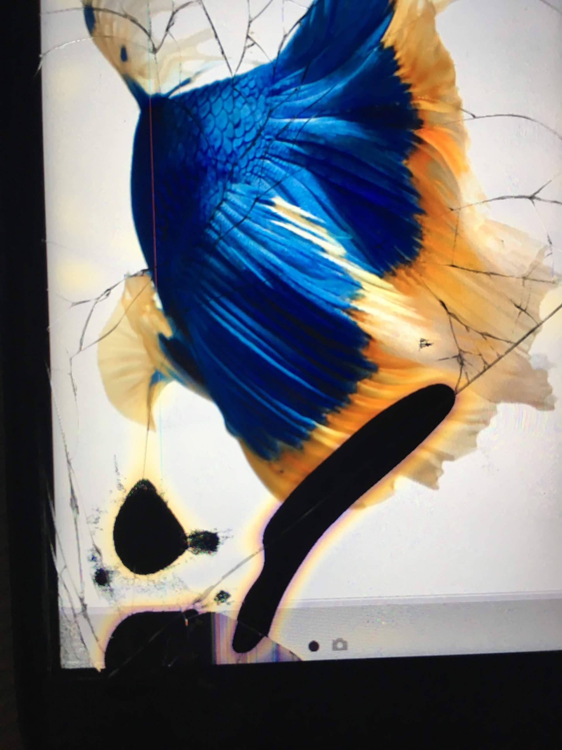 Iphone 6s hat komische schwarze flecken im innrem display was ist das? (Handy, Smartphone, Schaden)