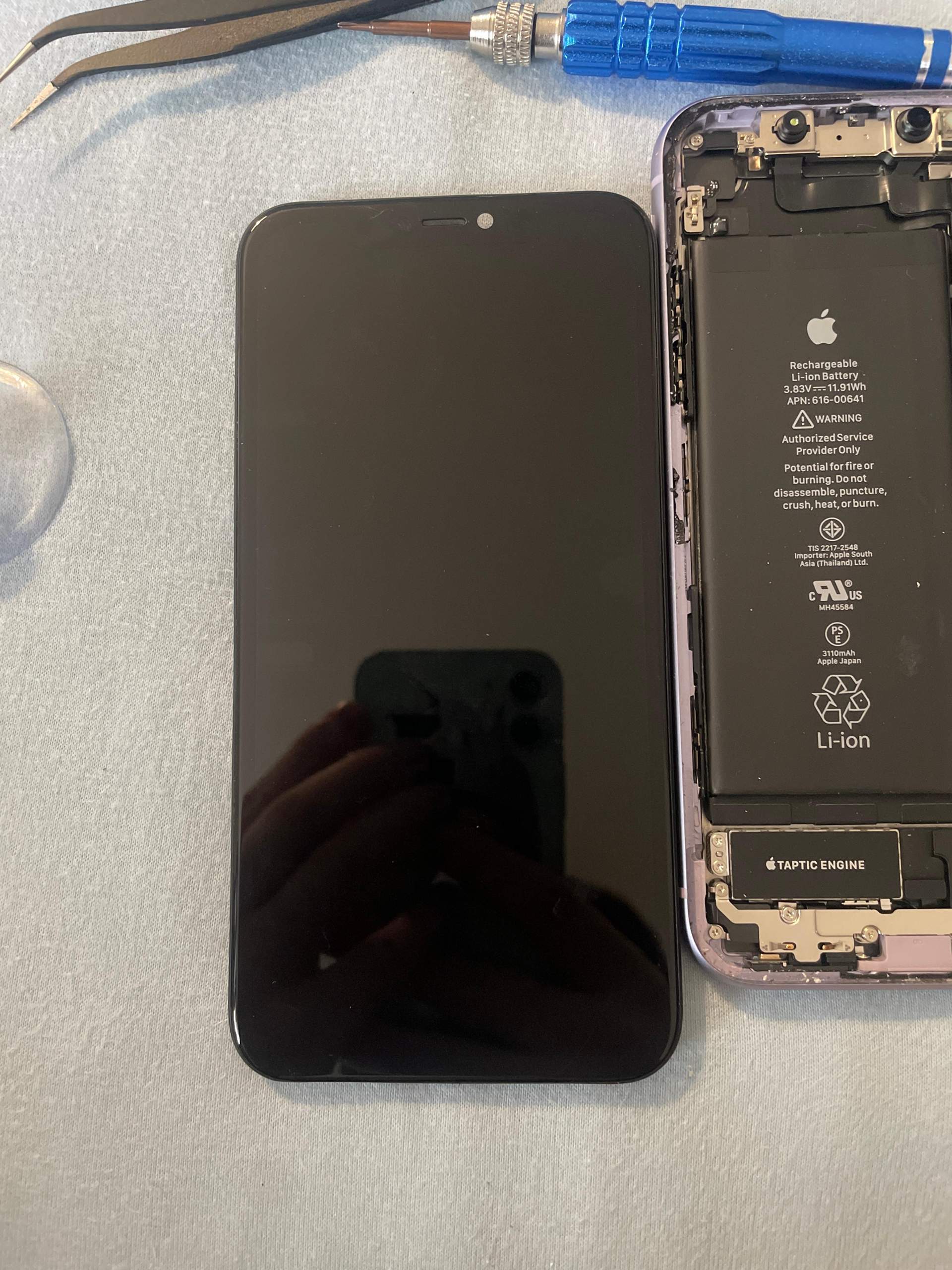 iPhone Display geht nicht mehr an? (Apple, Reparatur, iPhone 11)
