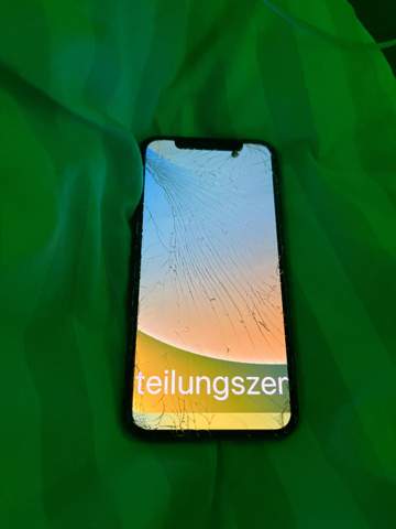 Bild zum Beitrag