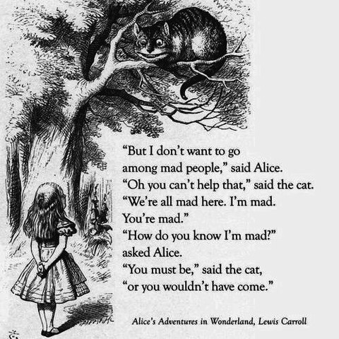 Alice im Wunderland - (Buch, Literatur, lustig)