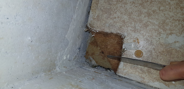 Ist Das Asbest Unter Dem Pvc Boden Pvc Boden