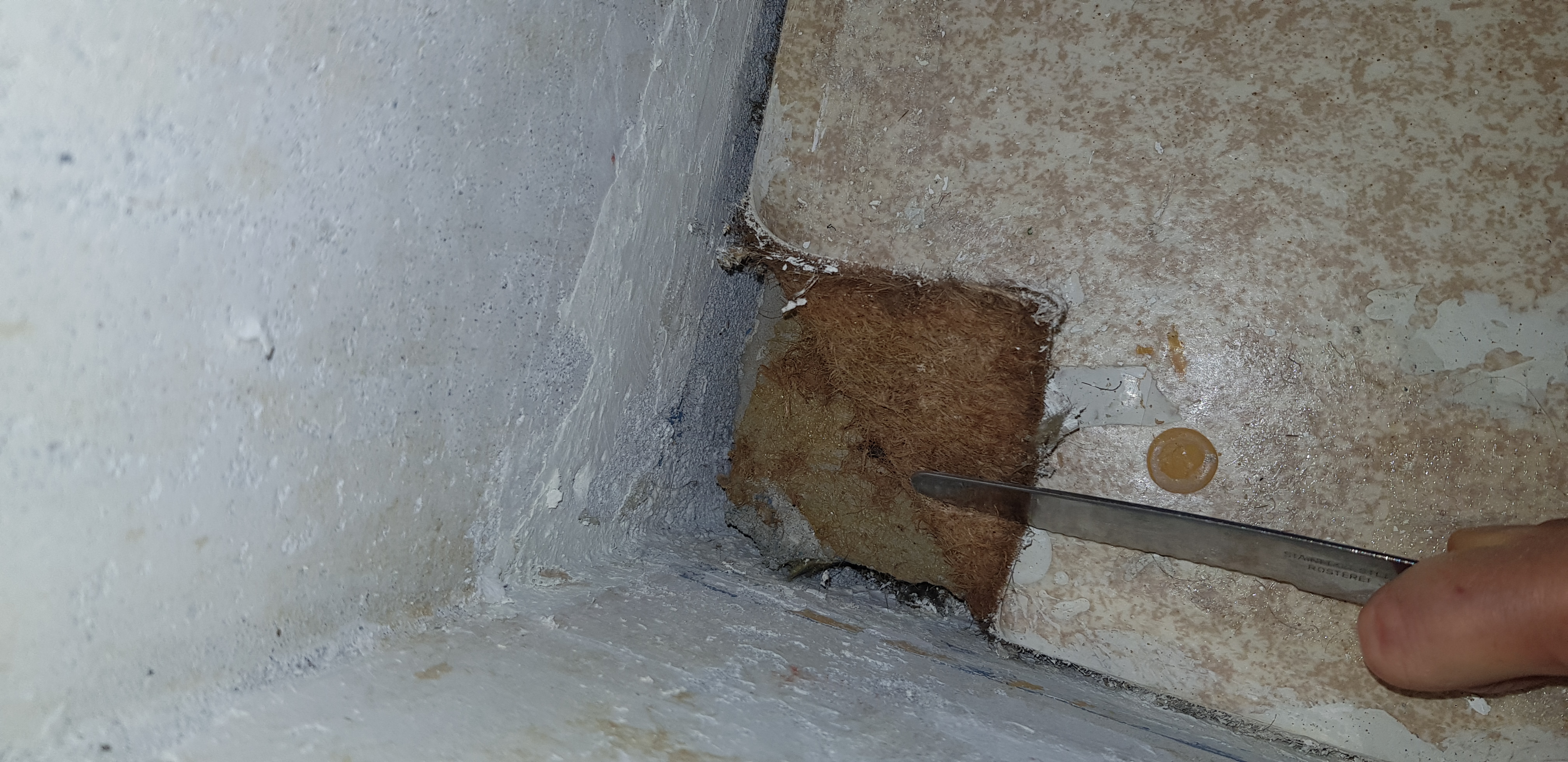 Ist Das Asbest Unter Dem Pvc Boden Pvc Boden