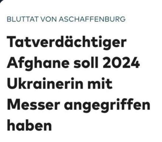 Bild zum Beitrag