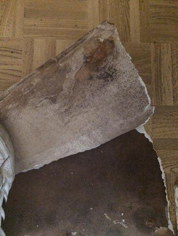 Ist Das Cushion Vinyl Asbest Gab Es Asbestboden Mit Dieser Parkettoptik Es Lassen Sich Seitlich Fasern Ekennen Mussen Das Zwingend Crysotilfasern Sein Hilfe Pvc