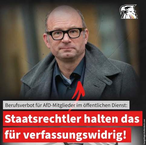 Bild zum Beitrag