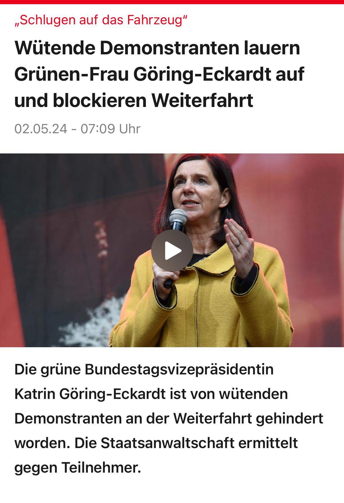 Ist das der neue Wahlkampf 2.0? (Partei, AfD, DIE LINKE)