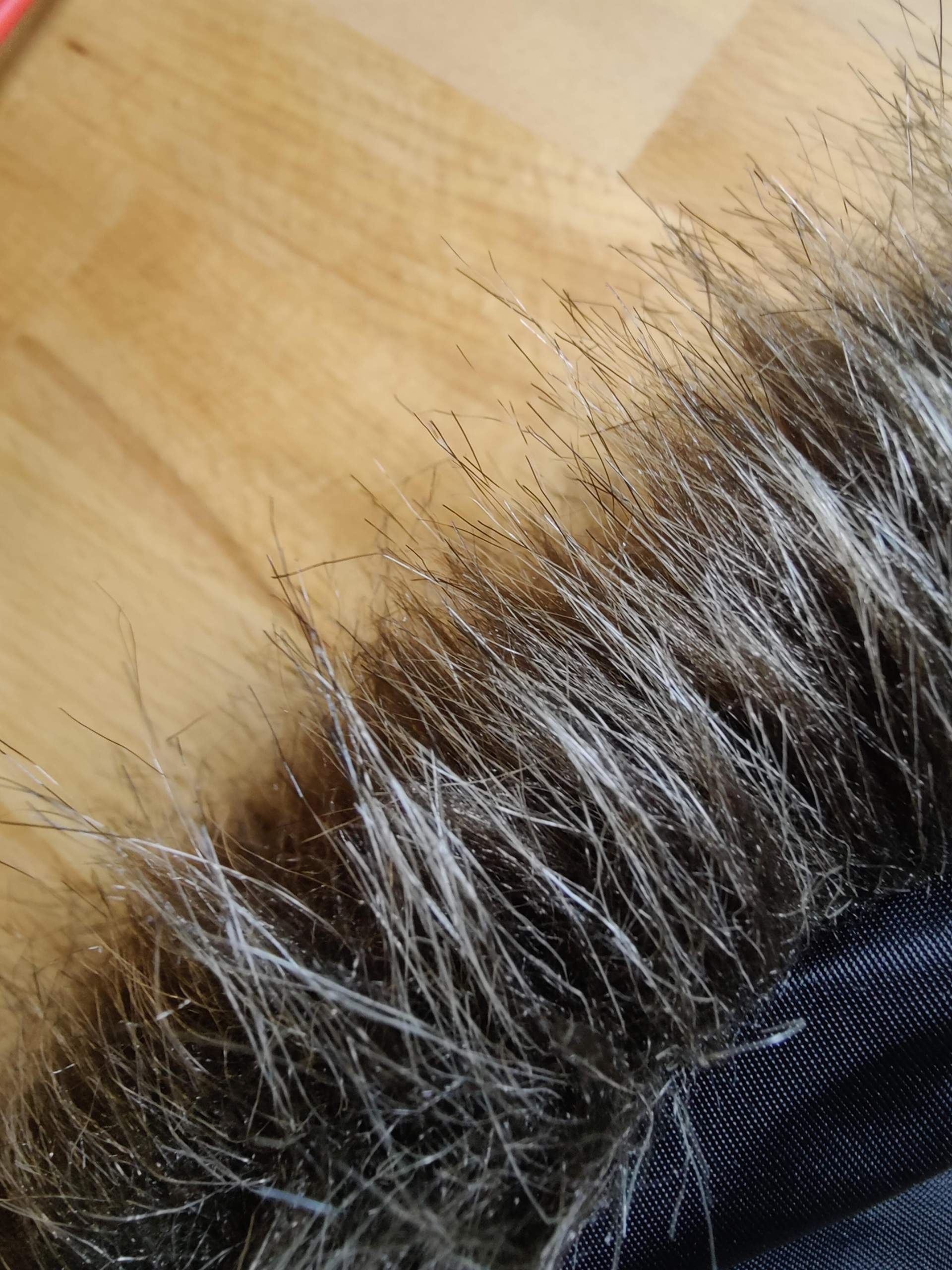 Ist das EchtPelz? (Mode, Model, Mantel)