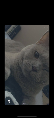 - (Kater, BKH)
